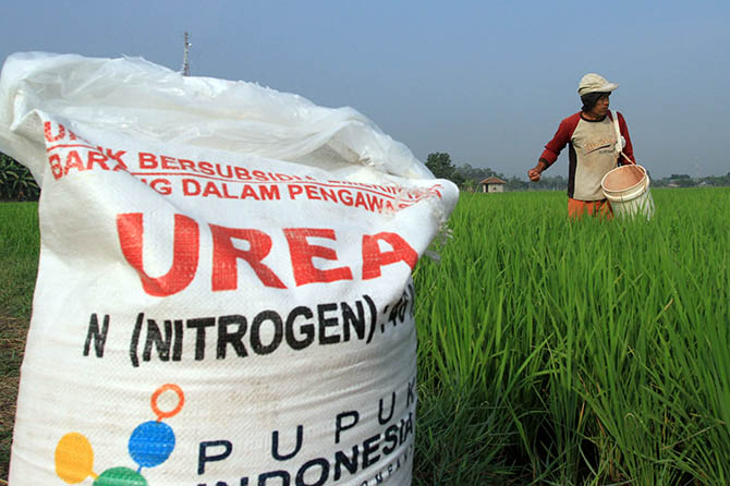 PUPUK SUBSIDI