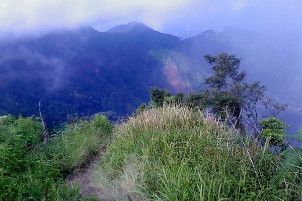 Seluas 479 hektare hutan gunung muria rusak X6V5J55cl0
