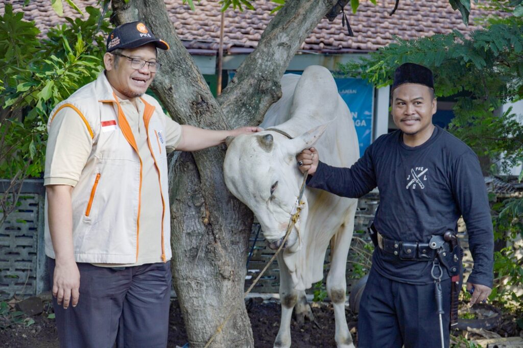 Pak Afif qurban