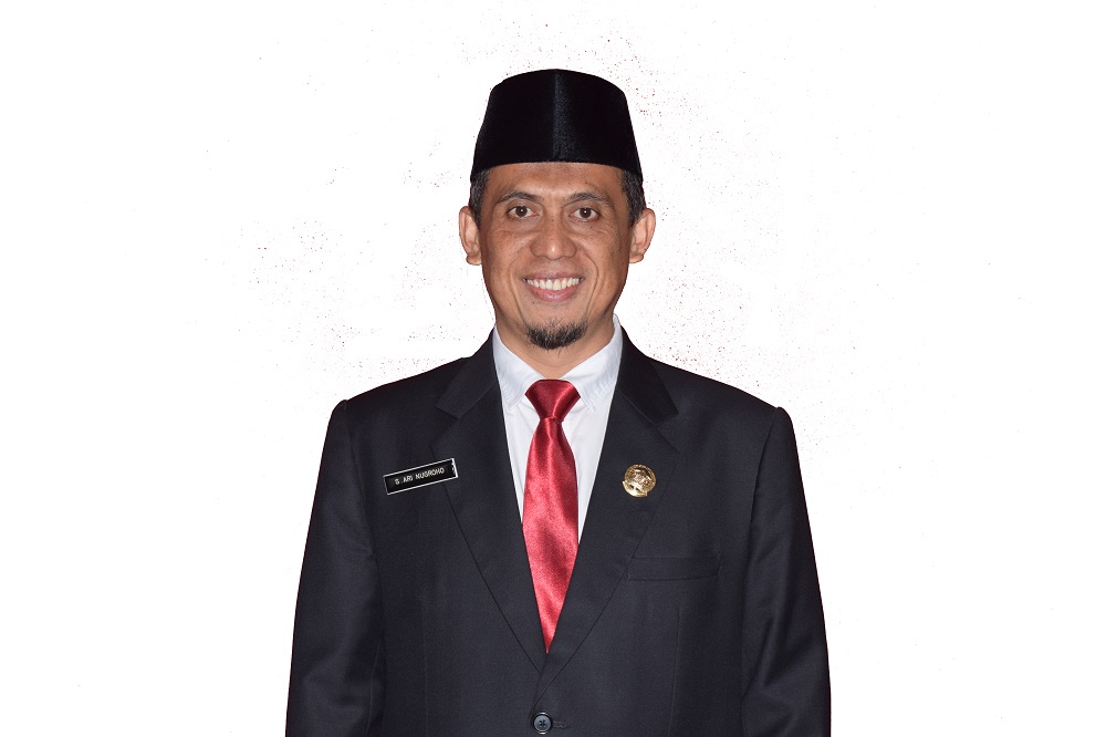 SETYA ARI