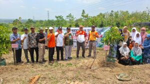 Tanam pohon