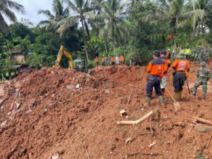 WhatsApp Image 2025 11 21 at 19.01.54
